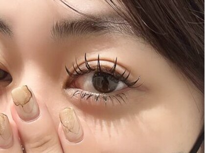 ノーチェ(noce)の写真