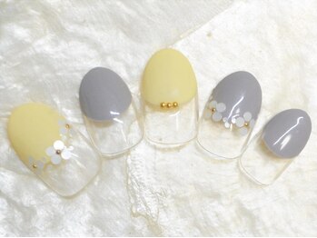 ブルーデイジー(Blue daisy)/