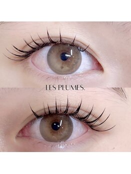 レ プリューム(les plumes)/パリエク120本