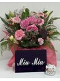 ミュウ ミュウ 大塚店(miu miu)/miu miu