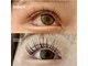 ハープ アイラッシュ(HARP Eyelash)の写真