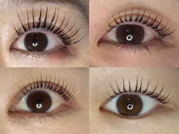 エーラッシュ(A-Lash)の写真/綺麗さにこだわった実力派サロン【まつげカール上下(補修美容液付)¥9000】より存在感のある目元へ◎