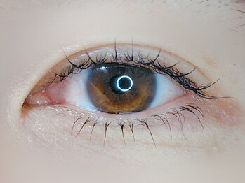 フルールラッシュ(Fleur Lash)/メーテルラッシュリフト