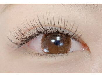 ケシェリー(KeSherry)/フラットラッシュ120本