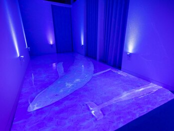 仙豆のちから x ドクターリセット 静岡店(Dr.Reset)/深海空間