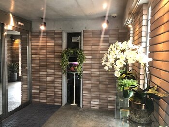 イグ(IGUH)/水槽が落ち着いた空間を演出