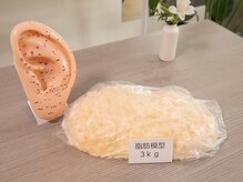 運動で痩せるのは大変、健康維持したい方へ。