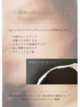 シルビー(CILBE)/ツル肌フェイシャルワックス