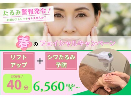 フラット(flat)の写真