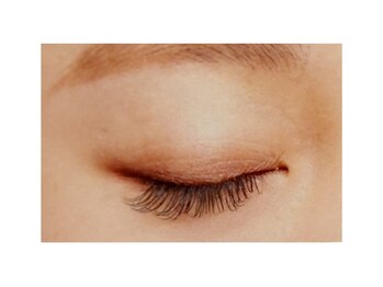 シルフ ブリエ(sylph Briller)/