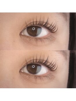 プラン アピ(plan api)/パリジェンヌ