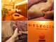 やすらぎのこころの写真