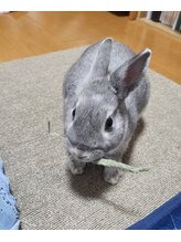 きらめき きらめき 3