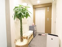 完全個室プライベートサロン(亀戸/錦糸町/本格整体/痩身/リンパマッサージ/マッサージ/骨盤矯正/ヘッドスパ