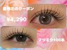 ＼夏の限定クーポン／フラットラッシュ 100本　4,290円