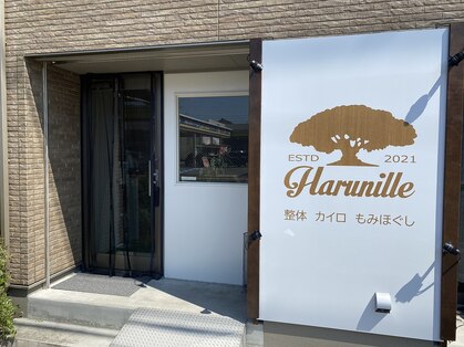 ハルニレ(Harunille)の写真