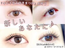 アンベリイルラッシュ(Embellir Lash)