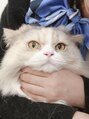 エヌプロテクト(N.Protect)&nbsp;みい ちゃん