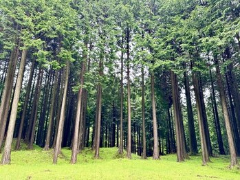 リラクゼーション休/ひのき