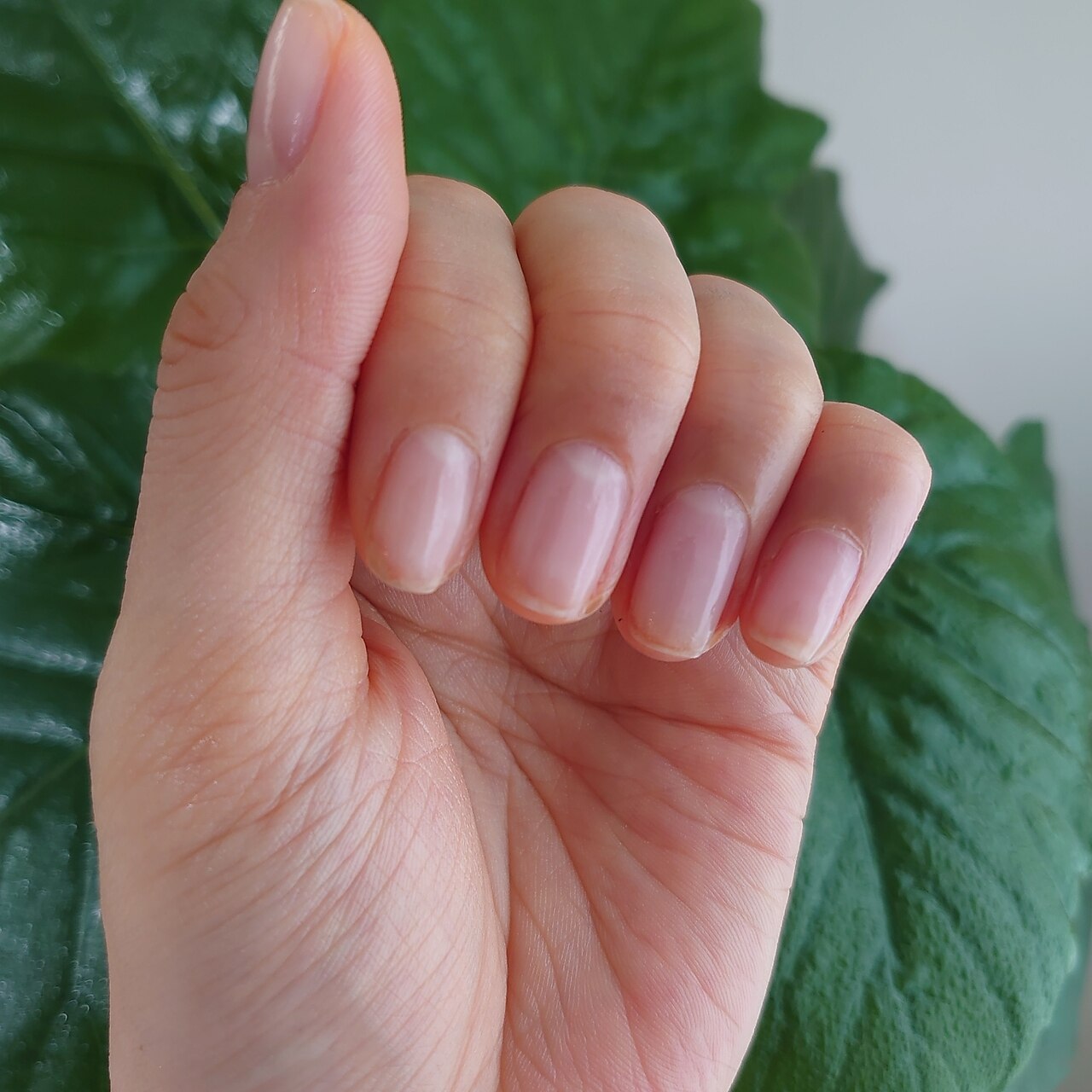 シッカネイル(sicca nail)｜ホットペッパービューティー