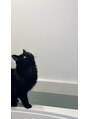 エミルカ(EMILUCA)&nbsp;黒猫を飼ってます！私の癒しです！
