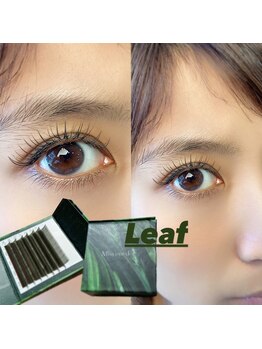 マロウアイラッシュ(mallow eyelash)/カラーラッシュ人気色