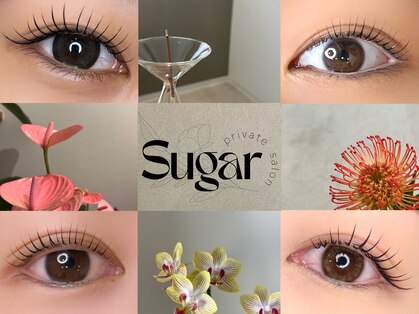 シュガー(Sugar)の写真