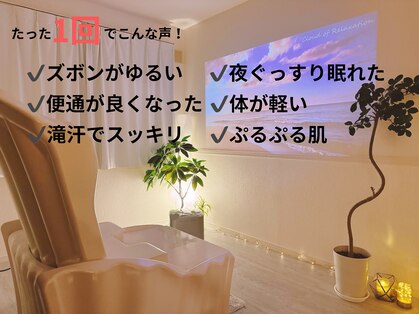 ヨサパーク マナ(YOSA PARK Mana)の写真