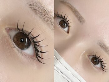 リュネル(Lunelle)/【高持続】バインドロック80束