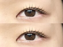 ヨーク トゥルペ(yorke tulpe)