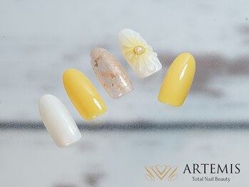 アルテミス(ARTEMIS)/シンプルB 