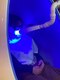 ラシクビューティールームの写真/あなたの笑顔、もっと輝かせる！ホワイトニングで、特別な日をもっと素敵に！笑顔で自信を取り戻そう♪
