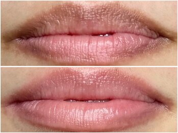 ピンクアンドプラウドサロン 横浜(Pink& Proud Salon)/ローマピンク【唇】