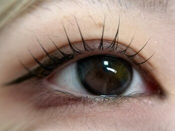 ネイルサロン ミミ(Mimi)の写真/入学式や新生活の準備に◎ノングルー韓国式まつげパーマで自まつげに優しく、上品な目元へ導きます☆