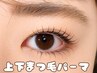 【ご新規様限定】韓国風束感まつ毛♪上下まつ毛パーマ ¥6980
