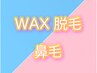 WAX脱毛エチケット脱毛ココ必須♪ 鼻毛¥2000→¥1000 リピーター続!