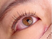 ラシク ベル(Lashiku Belle)/フラットラッシュ