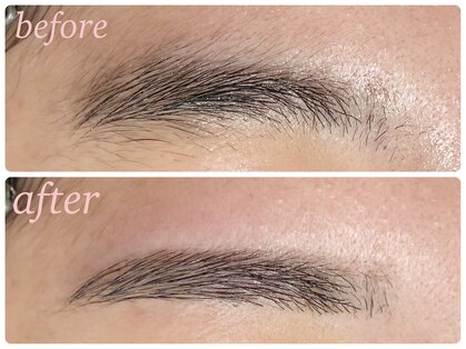 ノエル 下北沢(Noel)の写真