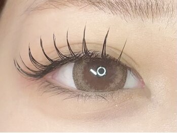 ルル(Ruru)/フラット140本