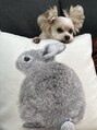 マナズサロン 川越(Mana's salon)&nbsp;可愛い愛犬と子供に癒されながら生活してます♪