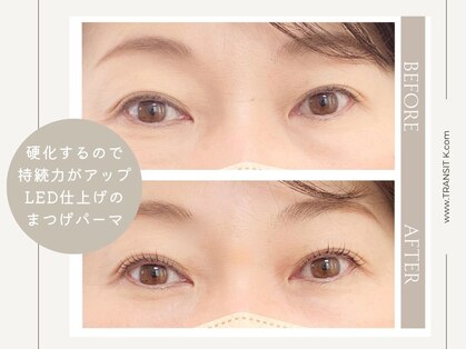 トランジットケイ(TRANSIT K)の写真