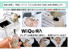 サロンフィーユ(Fille)/マイクロ微細針機器使用