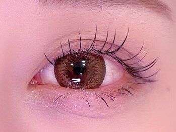 シル シェノン(cil shenon)/フラットラッシュ120本