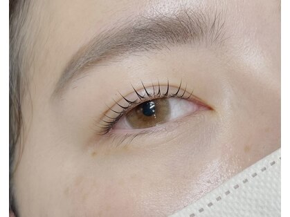 ニコット(Nicotto)の写真
