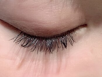 カラン 焼津店(CALIN)/フラットラッシュ120本