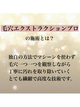 ミローズ(MIROSE)/毛穴エクストラクションプロとは