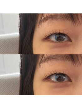 フィービー(pheebe)/まつげパーマ