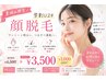 【学割U24★夏休みキャンペーン】顔脱毛￥4500→