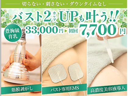 美人バスト 岡崎店の写真