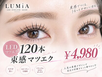ルミア(LUMIA)の写真
